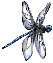 Azuredragonfly.ca